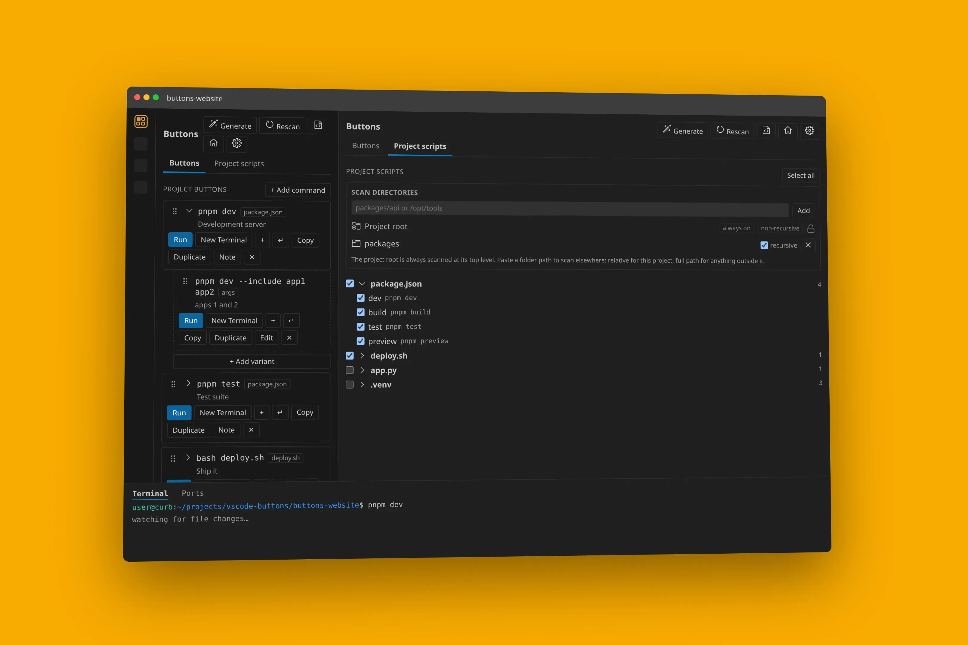 The Buttons sidebar with Run, New Terminal, plus, newline insert, and Copy next to the Project scripts panel in a workspace.