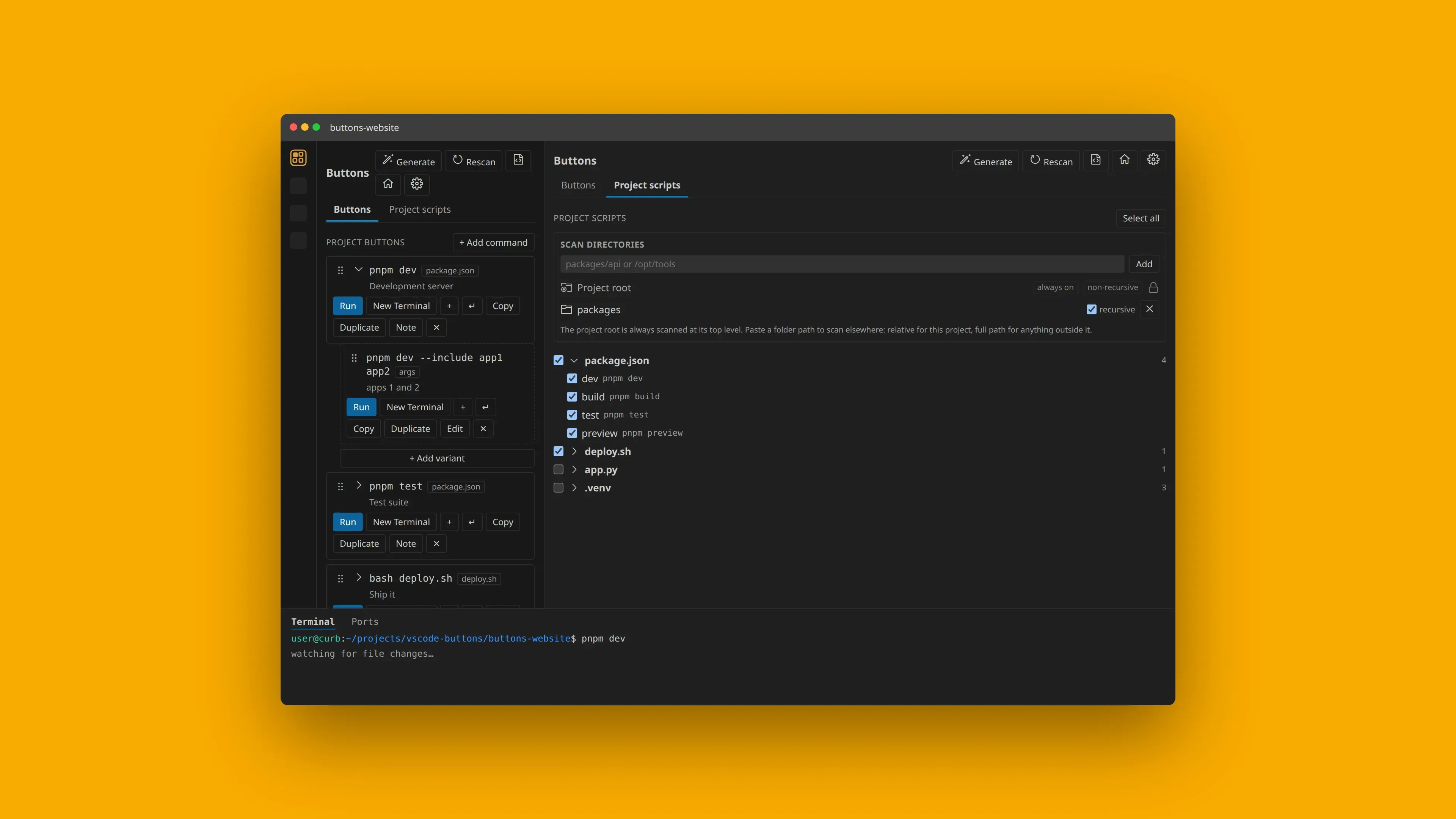 Buttons in VS Code switching between the Buttons command list with variants and the Project scripts tab.